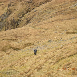 21st March 2010