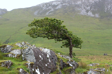 Benbrack 14th June 2009