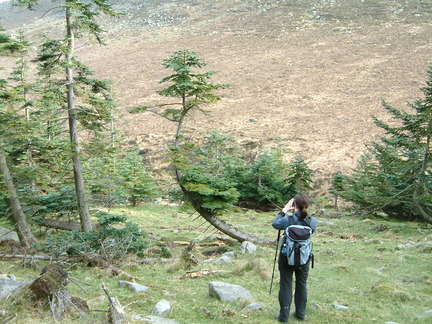 Mournes 2002